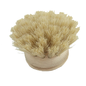 Borsthuvud av bokträ till diskborste med utbytbart9