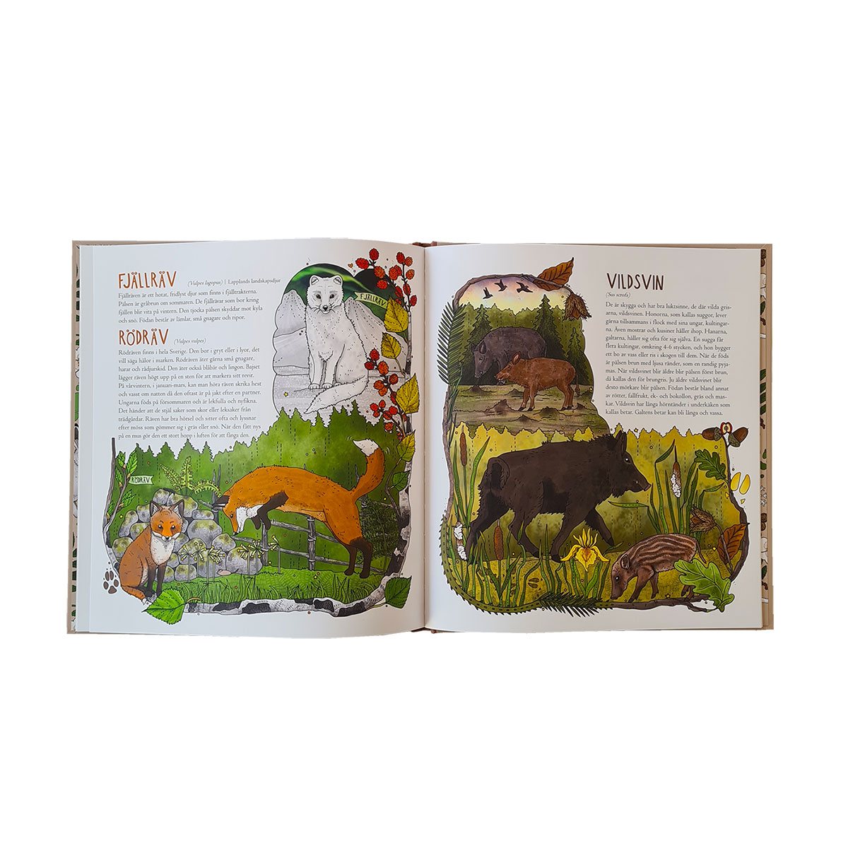 Bok Ville & Vera på utflykt, Svanenmärkt Triumf förlag